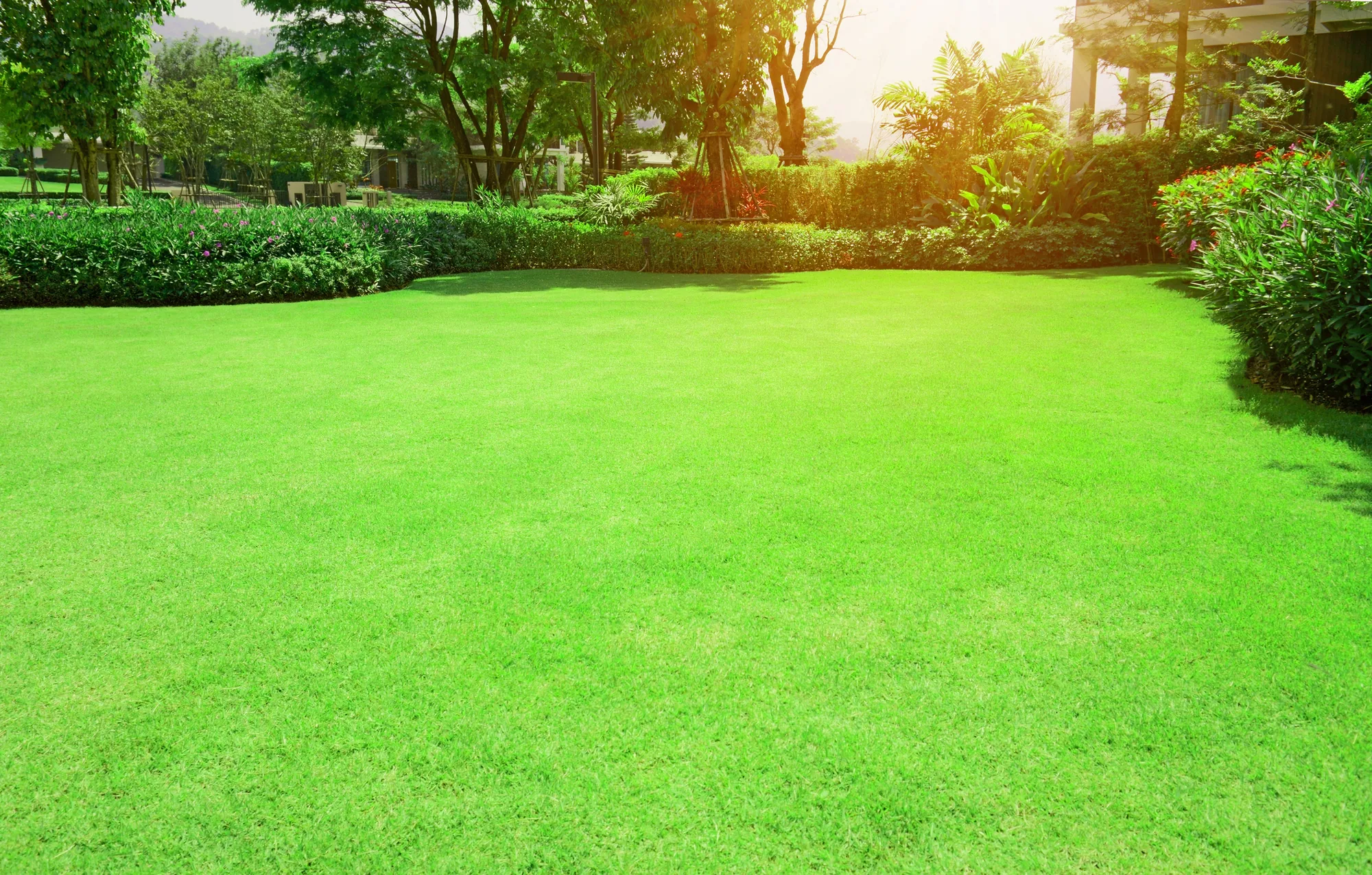 What To Expect During Your Irrigation System Installation guide in Elk Grove, CA 95757 What To Expect During Your Irrigation System Installation guide in Elk Grove, CA 95757