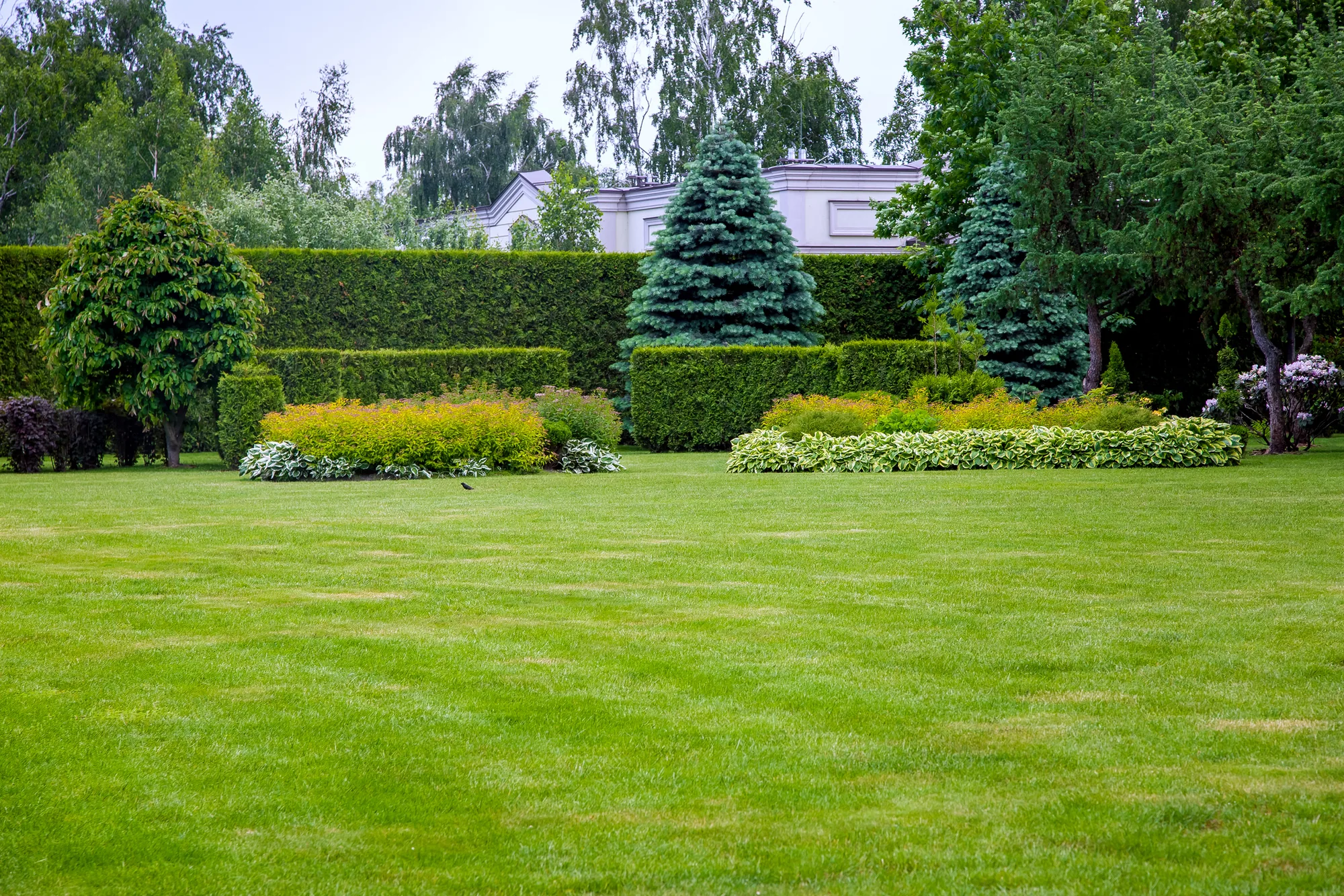 Landscaping services visual 2 in Galt, CA Landscaping services visual 2 in Galt, CA