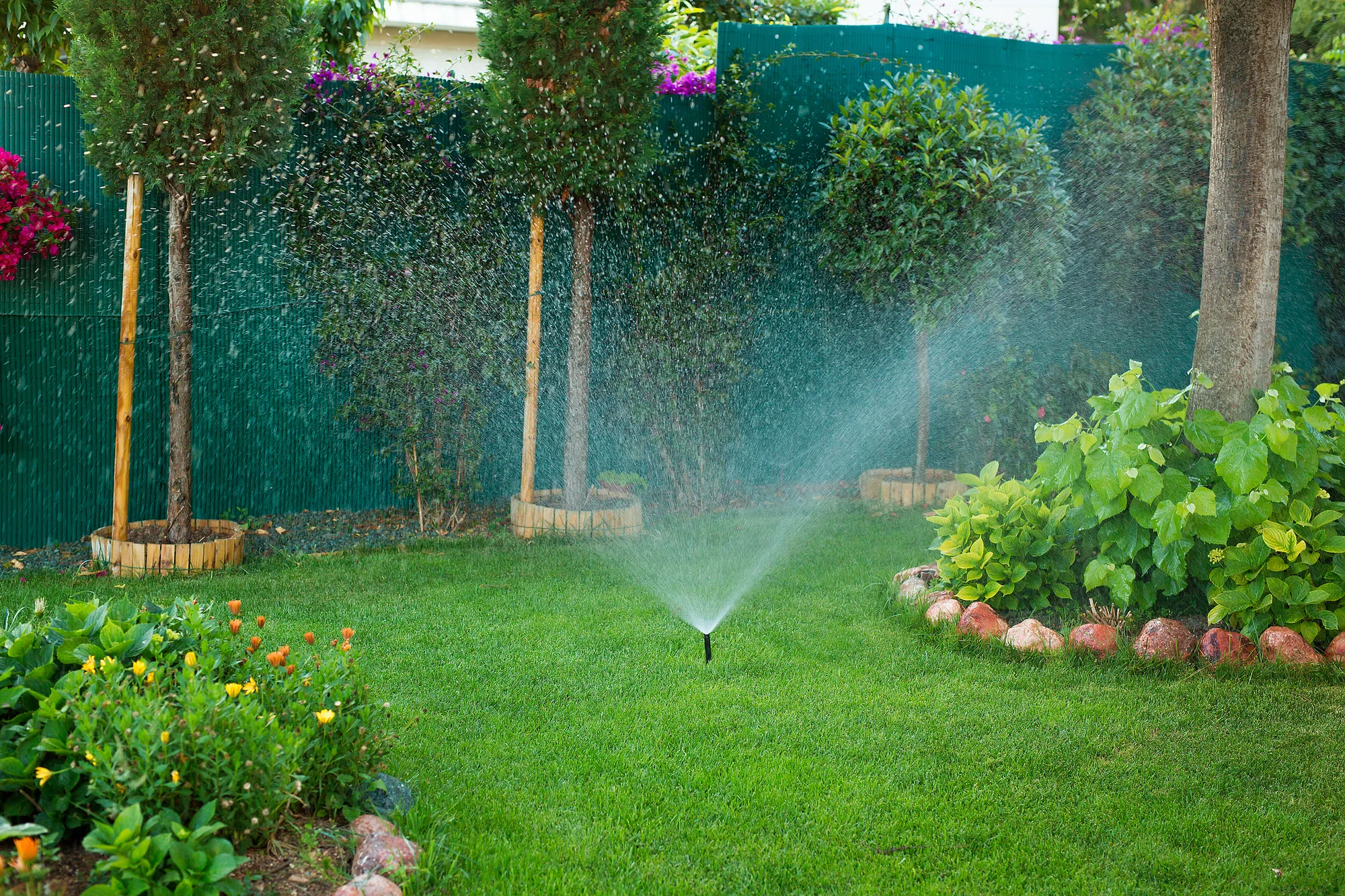 Landscaping Company in Elk Grove, CA 95757 Landscaping Company in Elk Grove, CA 95757