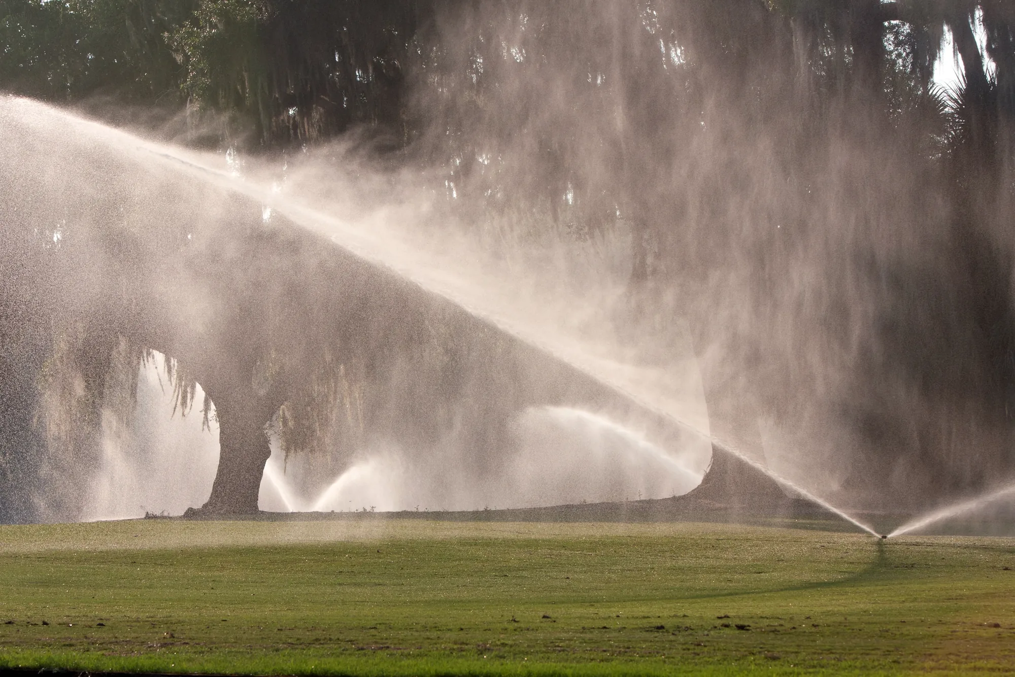 The Role of Sprinkler System Repair in Lawn Health detail for Sprinkler System Repair in Elk Grove, CA 95757