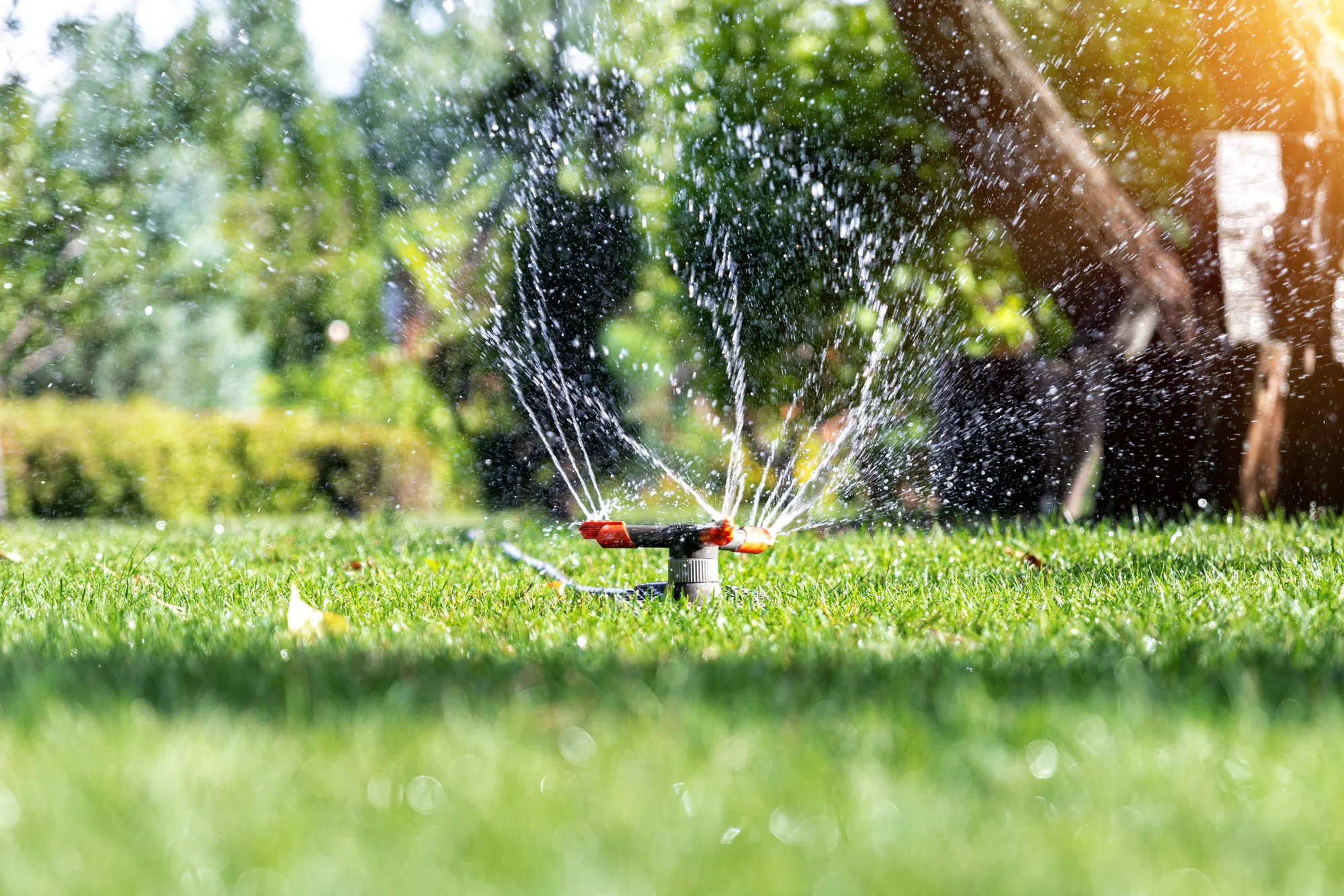 Sprinkler System Repair preview project preview